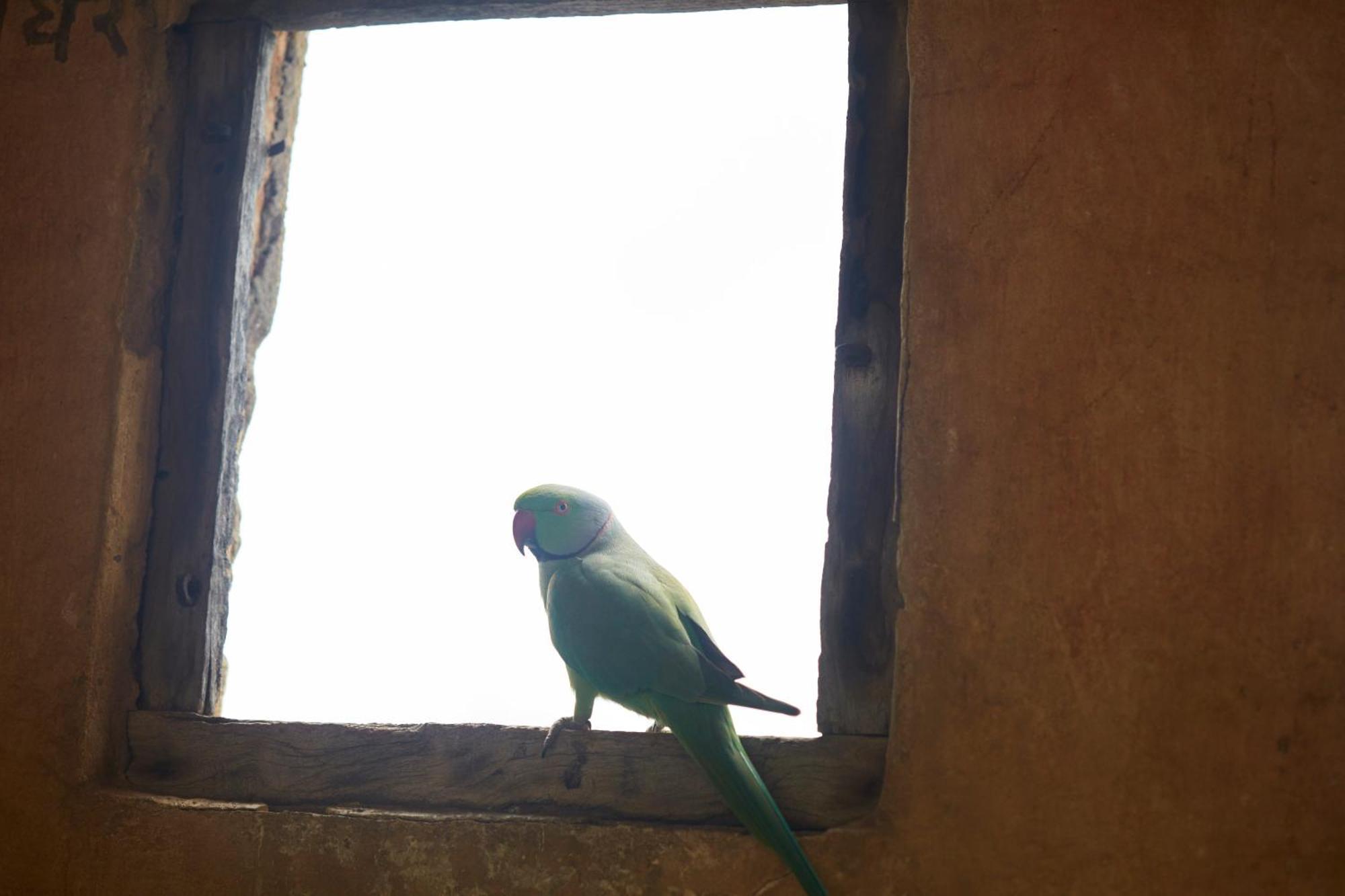 Raas Devigarh Otel Delwāra Dış mekan fotoğraf